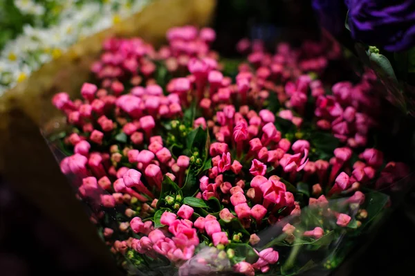 Krásné růžové kytice baleny do transparentní papír — Stock fotografie
