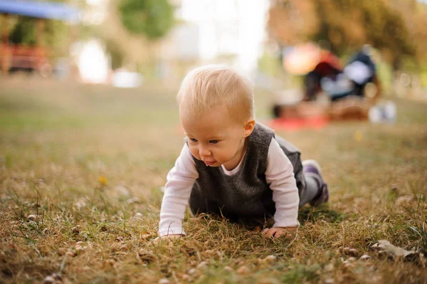 Menina bonito rastejando no chão de um parque — Fotografia de Stock