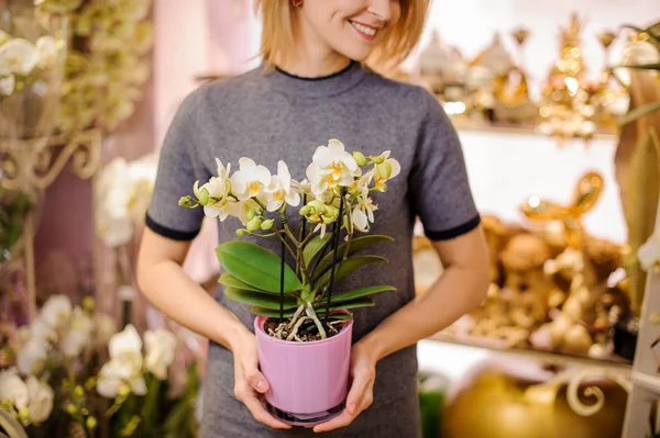 Girl gazdaság egy gyönyörű fehér orchidea pot — Stock Fotó