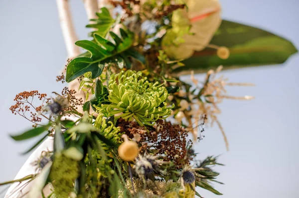 Закрыть свадебную арку, украшенную зелеными тропическими цветами — стоковое фото