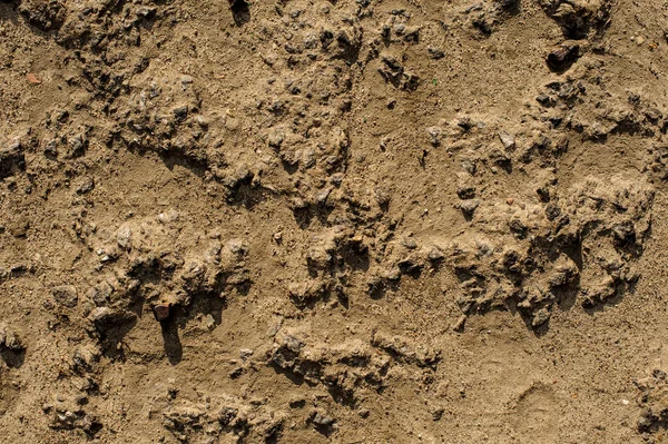 Textured background of wet river sand with little stones — Stock Photo, Image