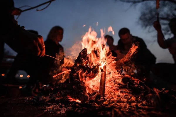 Genç ve neşeli arkadaşları gece şenlik ateşi yakın oturma ve yavru marshmallow