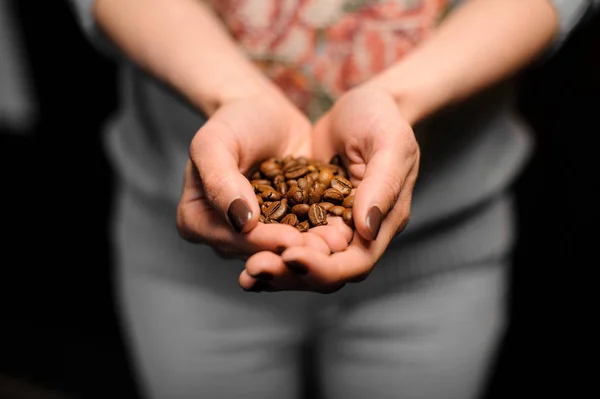 Barista girl holding in her hands little hollow of coffee grains — Stock Photo, Image