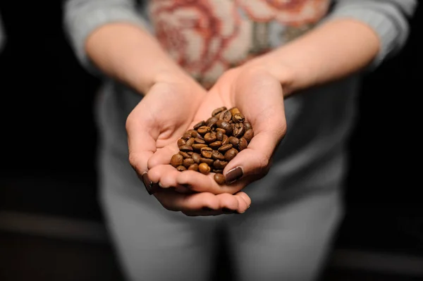Barista girl holding in her hands a small handful of coffee grains — Stock Photo, Image