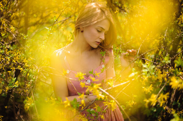 Young blonde girl, dressed in a checked dress, standing between branches of yellow blossom tree and looking down