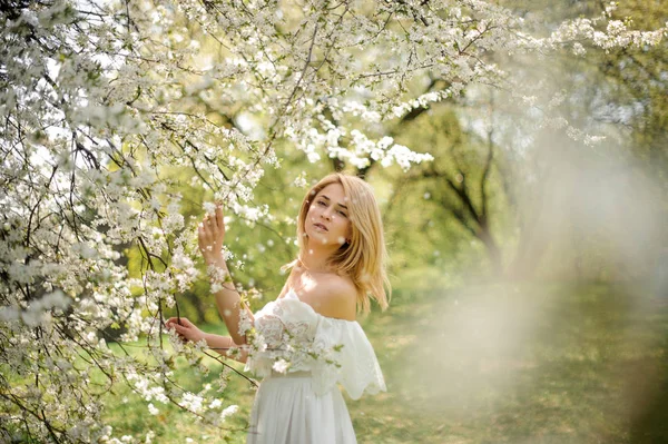 Menina de pé entre ramos de bela árvore branca polvilhada com pétalas — Fotografia de Stock