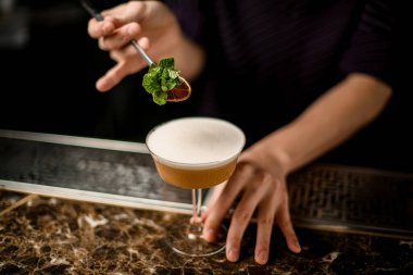 Profesyonel erkek barmen, bardakta yeşil nane dalı ve kurutulmuş portakalla lezzetli bir alkollü kokteyl süslüyor.