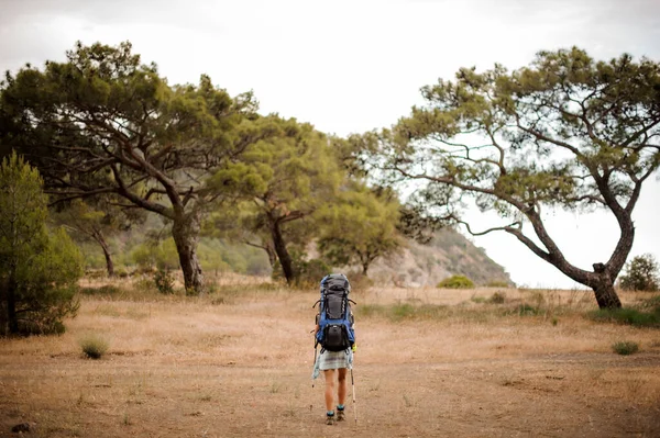 Fille avec sac à dos marchant sur le champ sec aux arbres et aux montagnes dans le lointain — Photo