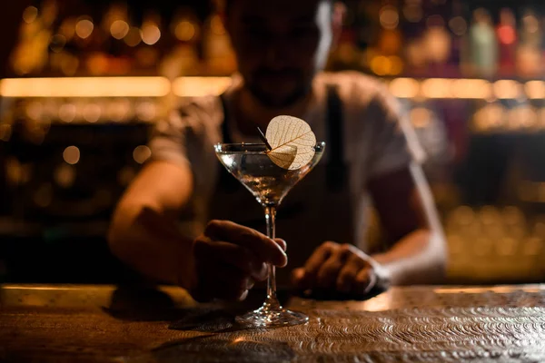 Manlig bartender som serverar en cocktail i glaset dekorerad med ett torkat blad på nålen — Stockfoto