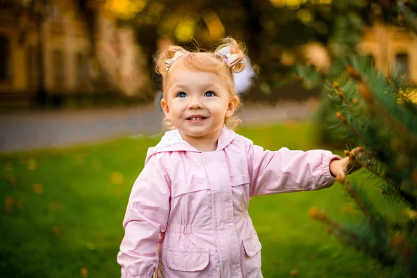 Söt liten flicka står i den varma höstparken röra en gran gren — Stockfoto