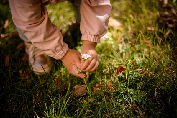 Kleines Mädchen beim Versuch, eine Blume vom Rasen im Park zu pflücken — Stockfoto