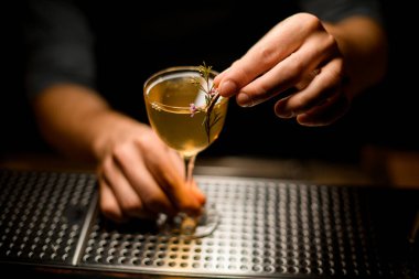 Barmen alkollü içeceği dalla süslüyor.