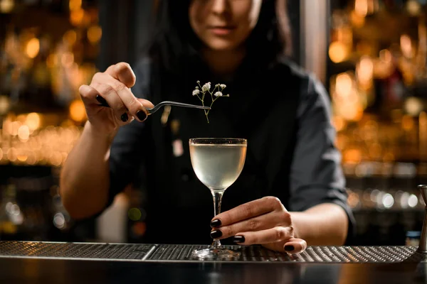 Primo piano del barista che aggiunge un piccolo ramo nel cocktail — Foto Stock