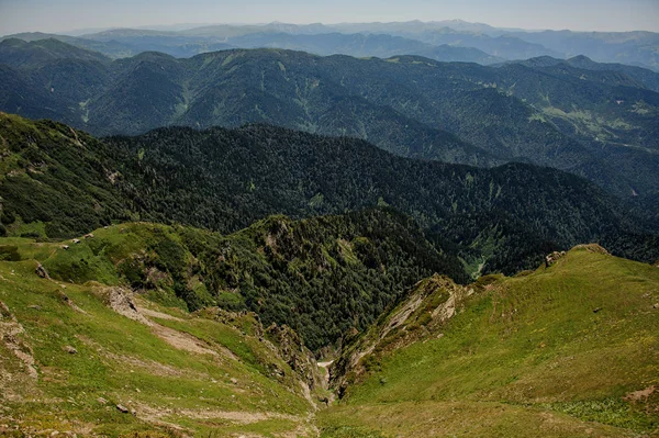 Fantastisk utsikt över kullar med grön skog — Stockfoto