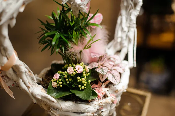 Nahaufnahme Korb mit Zweigen mit weißer Farbe bedeckt mit grüner frischer Blume und kleiner Palme — Stockfoto