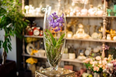 Masadaki şeffaf cam vazoda yeşil yapraklı güzel mor orkide.