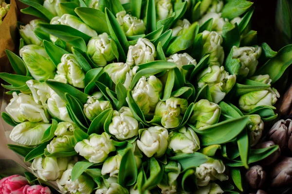 Krásná kytice bílých tulipánů se zelenými listy v průhledném balicím papíru — Stock fotografie