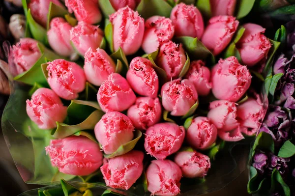 Krásná velká kytice růžových tulipánů se zelenými listy v průhledném balicím papíru — Stock fotografie