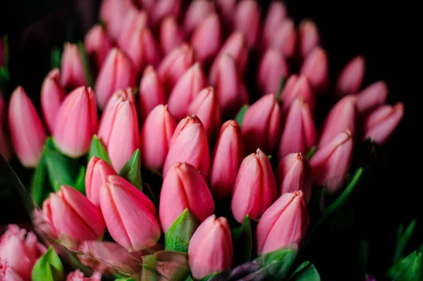 Krásná velká kytice úzkých růžových tulipánů se zelenými listy v průhledném balicím papíru — Stock fotografie