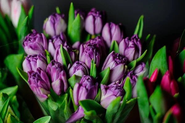 Krásná kytice fialových tulipánů se zelenými listy — Stock fotografie