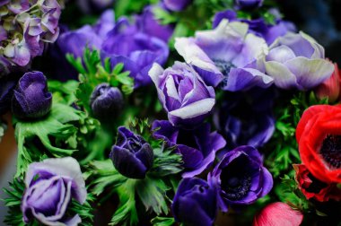 Yeşil yapraklarla süslenmiş güzel mor çiçekler.