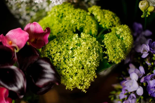 Belo buquê de primavera de enormes hortênsias verdes — Fotografia de Stock