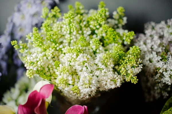 透明包装紙に白と緑のライラックの美しい花束 — ストック写真