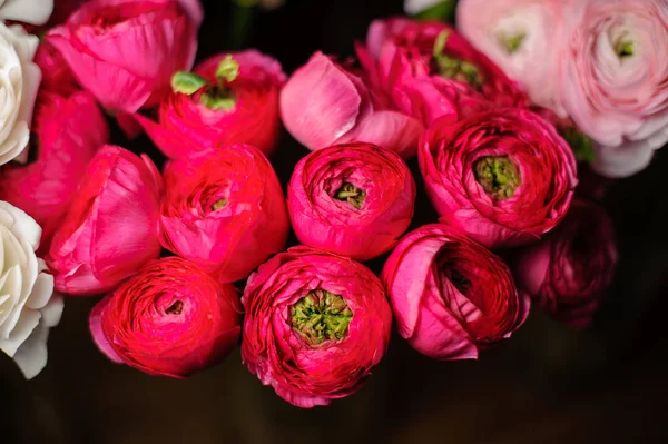 Krásná jarní kytice růžových pivoňkových růží na tmavém pozadí — Stock fotografie