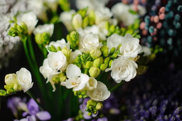 Krásná kytice bílé frézie v průhledném balicím papíru — Stock fotografie