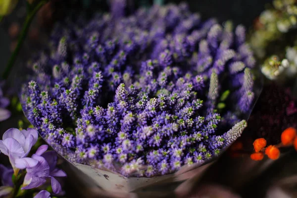 透明包装紙に紫色のムスカリの美しい花束 — ストック写真