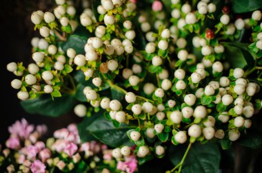 Şeffaf ambalaj kağıdında yeşil yapraklı bir buket beyaz çilek.