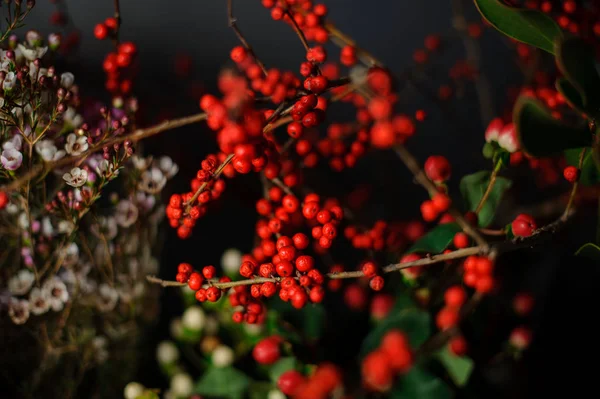 Bouquet of red berries with a green leaves in the transparent wrapping paper — Stock Photo, Image