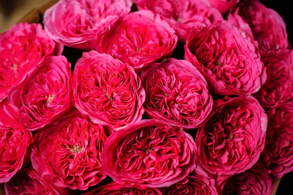 Beautiful bouquet of open pink peony roses in the craft wrapping paper