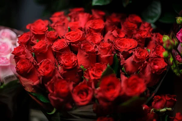 Buket indah mawar warna merah terang di kertas pembungkus transparan — Stok Foto