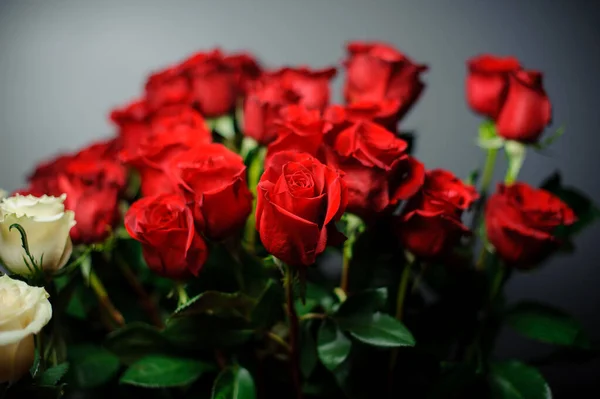 Vakker bukett med høye røde roser i gjennomsiktig innpakningspapir – stockfoto