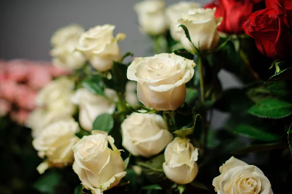 ช่อดอกกุหลาบสีขาวที่สวยงามในกระดาษห่อโปร่งใส — ภาพถ่ายสต็อก