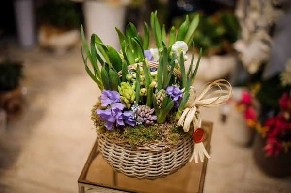 Wicker basket with beautiful plants inside on stool — Stockfoto