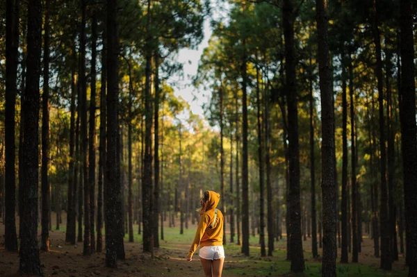 Female in stylish clothes stands in woods — Stockfoto