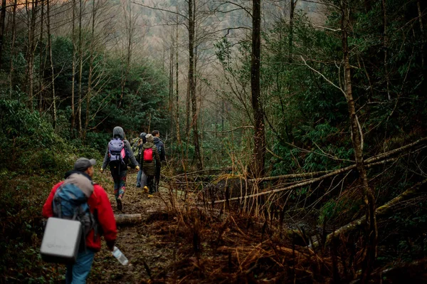 Groupe de personnes marchant avec des sacs à dos dans la forêt sombre — Photo