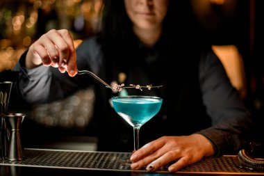 brunette woman bartender carefully decorates glass with cocktail. clipart