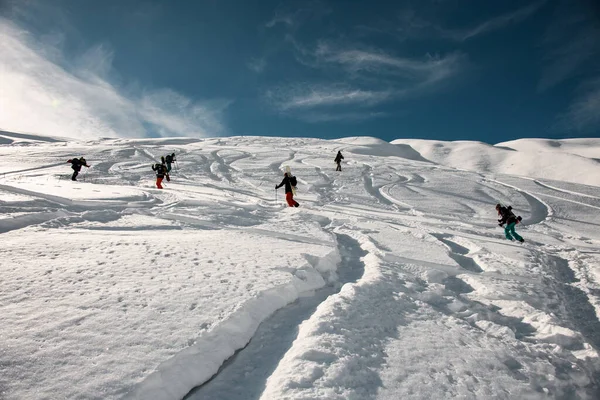 Groupe d'hommes et de femmes avec équipement de ski gravir la montagne pour faire freeride . — Photo