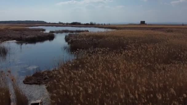 Sazlıkların büyüdüğü kıyı boyunca uzanan küçük nehrin manzarası — Stok video