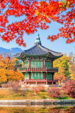Sonbahar Gyeongbukgung ve akçaağaç ağaç içinde korea.