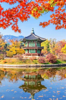 Sonbahar Gyeongbukgung ve akçaağaç ağaç içinde korea.