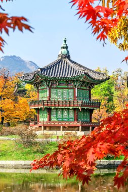 Sonbahar Gyeongbukgung ve akçaağaç ağaç içinde korea.