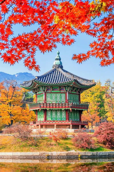 Gyeongbukgung e acero in autunno in Corea . — Foto Stock