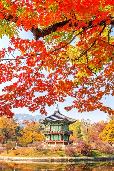 Otoño en Gyeongbukgung Palace, Corea . — Foto de Stock