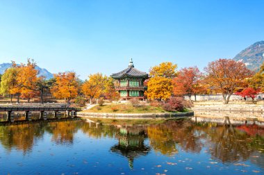 Gyeongbokgung Sarayı Güz, Güney Kore.