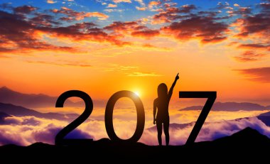 Mutlu yeni yıl 2017 batımında silüeti.