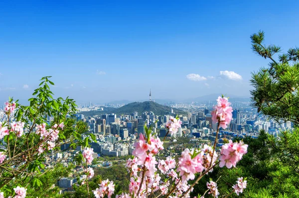 Vista da paisagem urbana e da torre de Seul em Seul, Coreia do Sul . — Fotografia de Stock